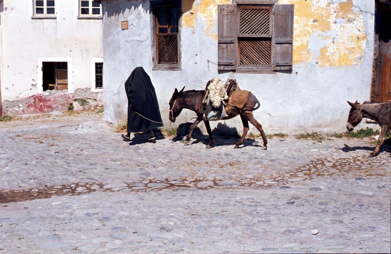Blog Galerisi